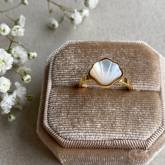 Ring Shell